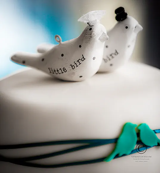 close up detail of icing birds on a white Tunbridge Wells wedding cake with blue piping